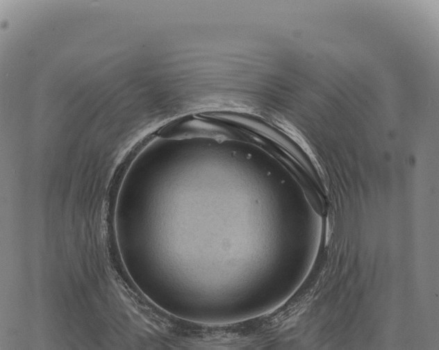 X0000063480387200601271700