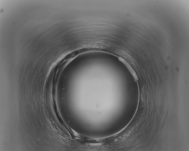 X0000063480388200601271700