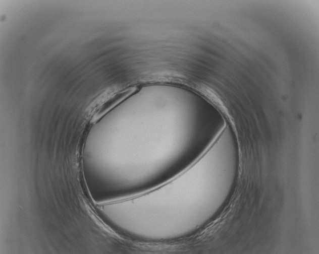 X0000063480389200601271700