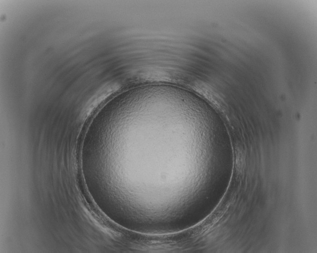 X0000063480390200601271700