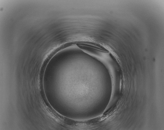 X0000063480391200601271700