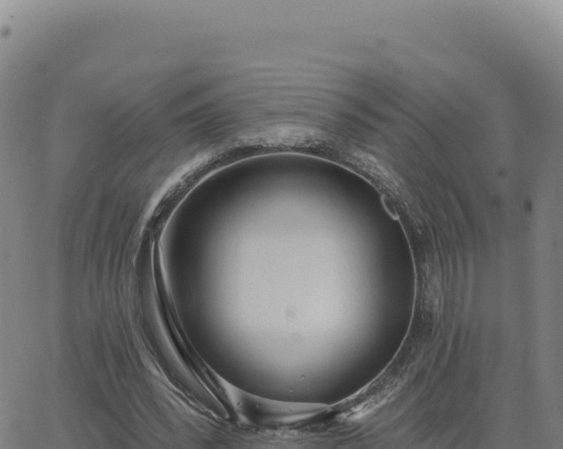 X0000063480392200601271700