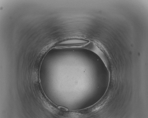 X0000063480393200601271700