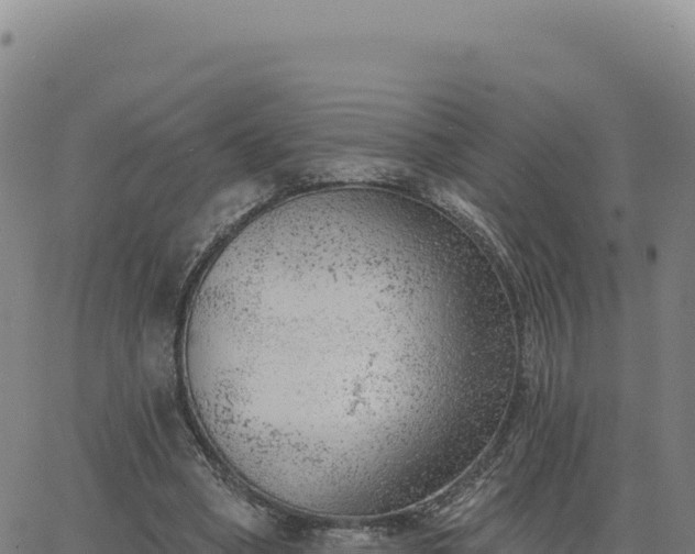 X0000063480394200601271700