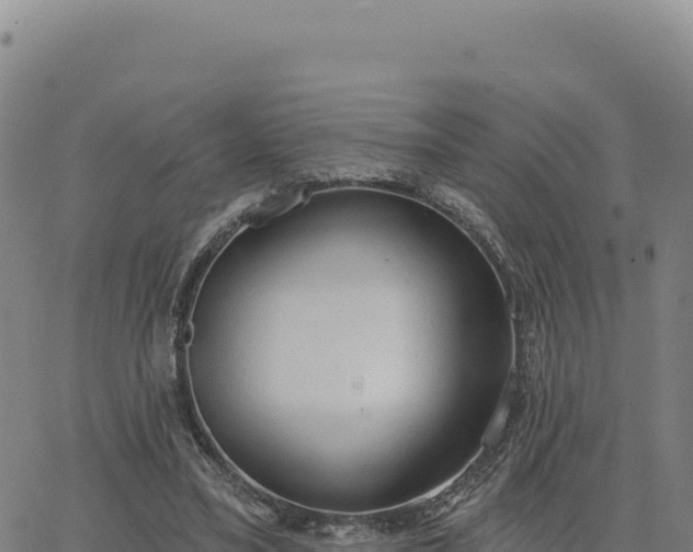 X0000063480395200601271700