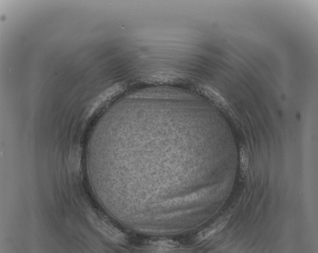 X0000063480396200601271700