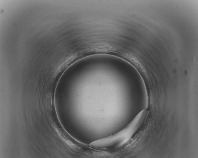 X0000063480397200601271700