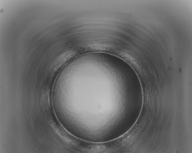 X0000063480398200601271700