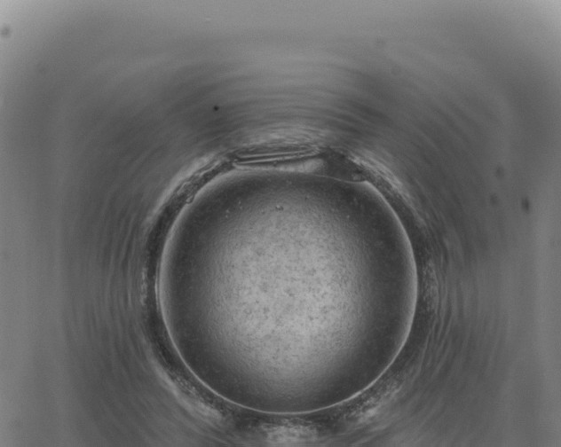 X0000063480400200601271700