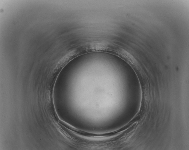 X0000063480401200601271700