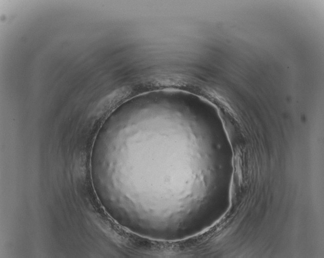 X0000063480402200601271700