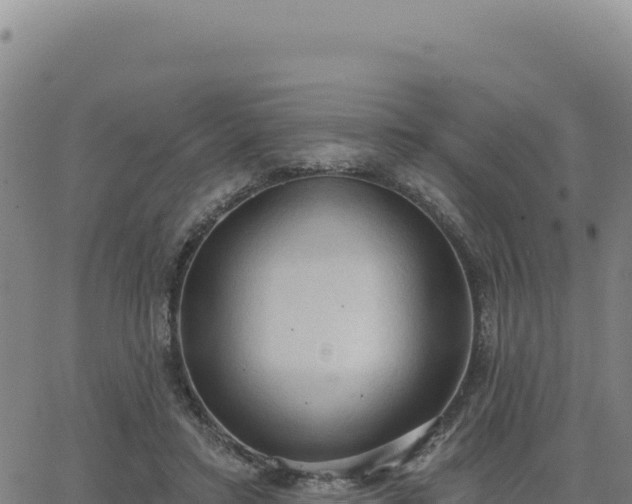 X0000063480403200601271700