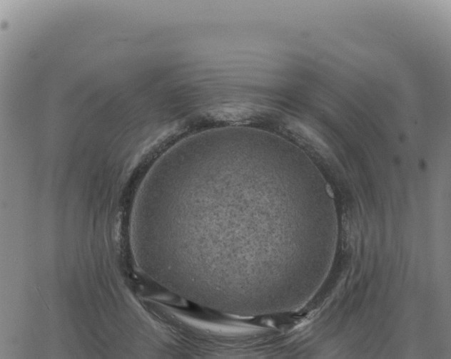 X0000063480404200601271700