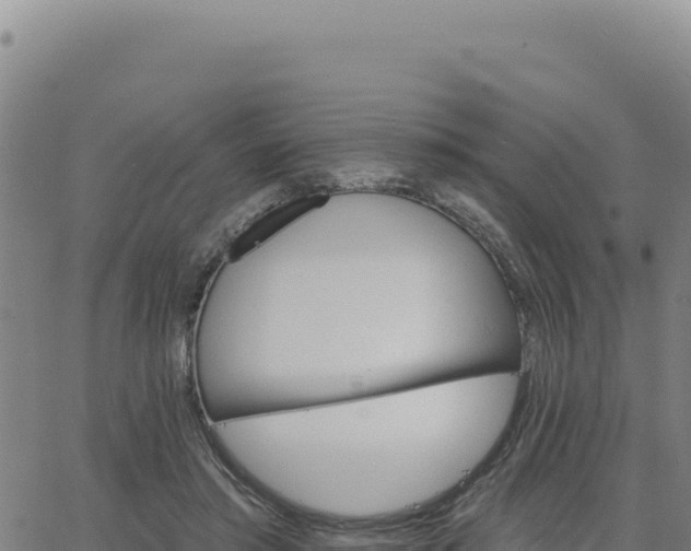 X0000063480405200601271700