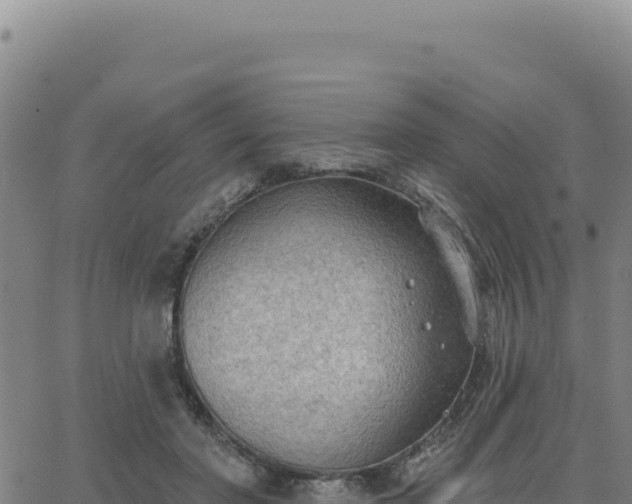 X0000063480406200601271700