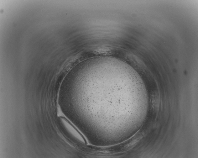 X0000063480408200601271700