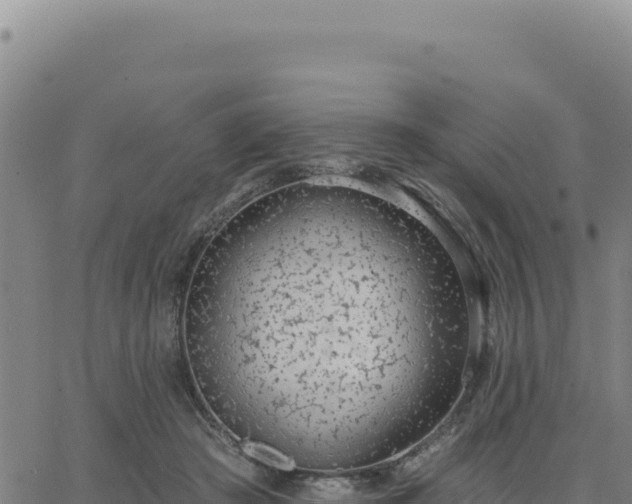 X0000063480409200601271700