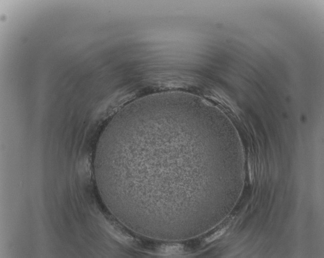 X0000063480410200601271700