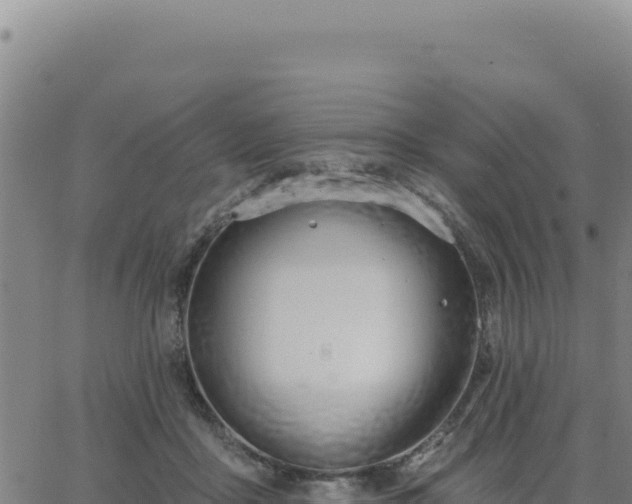 X0000063480411200601271700