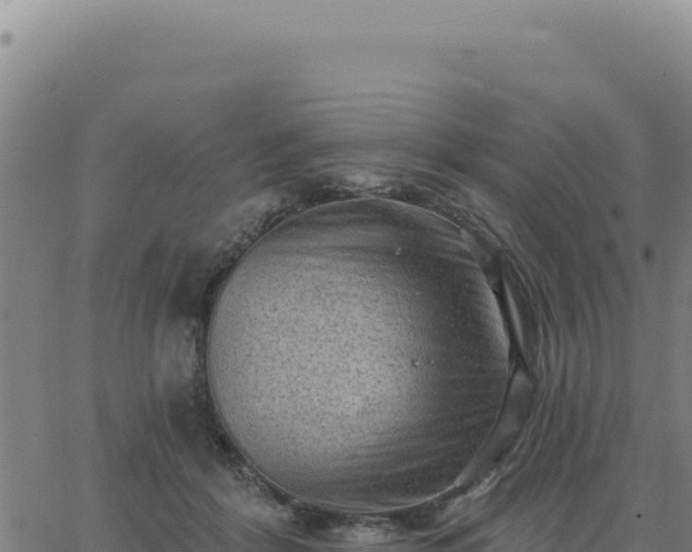 X0000063480412200601271659