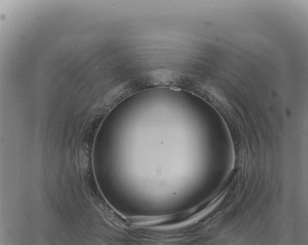 X0000063480413200601271659