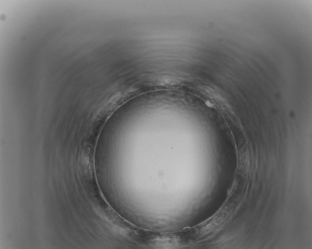 X0000063480415200601271659