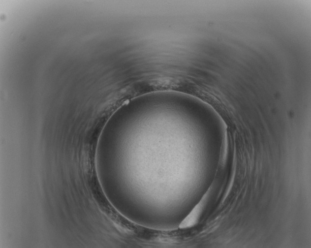 X0000063480416200601271659