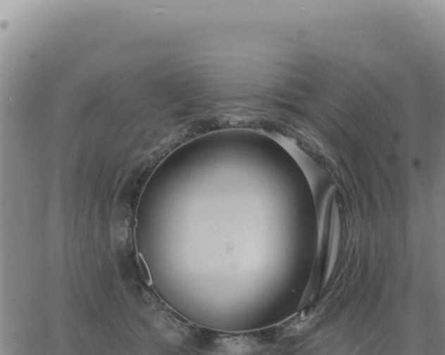 X0000063480417200601271659