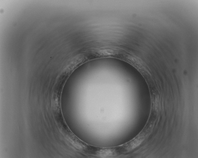 X0000063480418200601271659