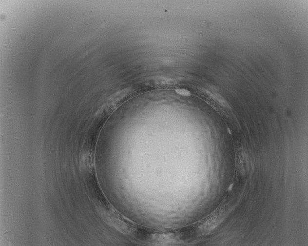 X0000063480419200601271659