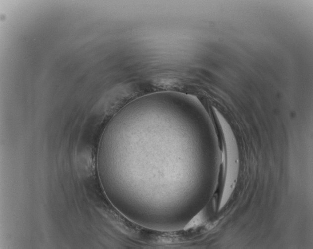 X0000063480420200601271659