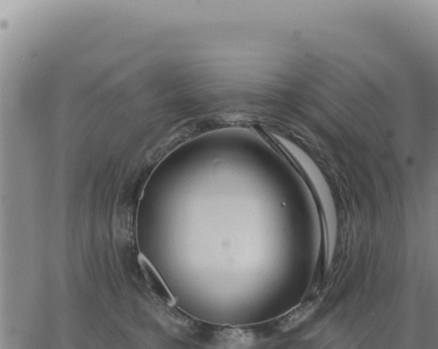 X0000063480421200601271659