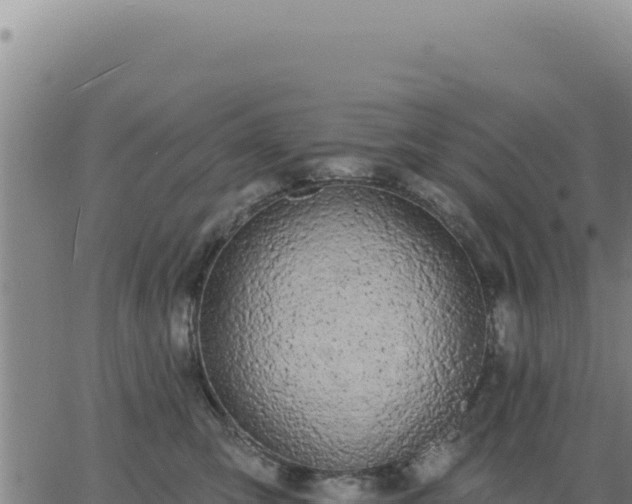 X0000063480423200601271659