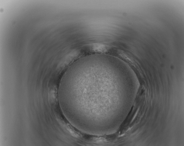 X0000063480424200601271659