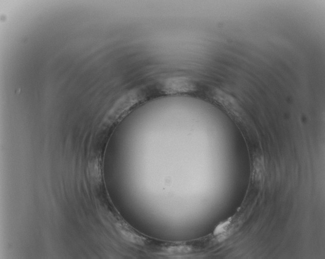 X0000063480426200601271659