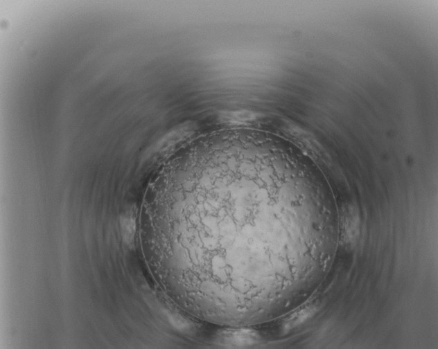 X0000063480427200601271659