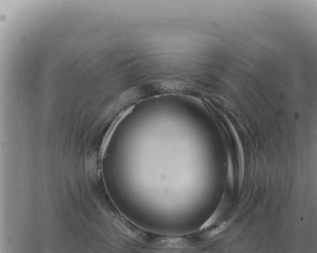 X0000063480428200601271659