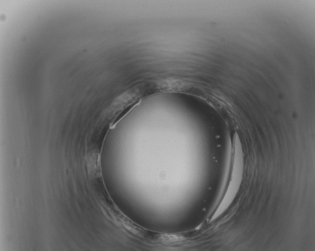 X0000063480429200601271659