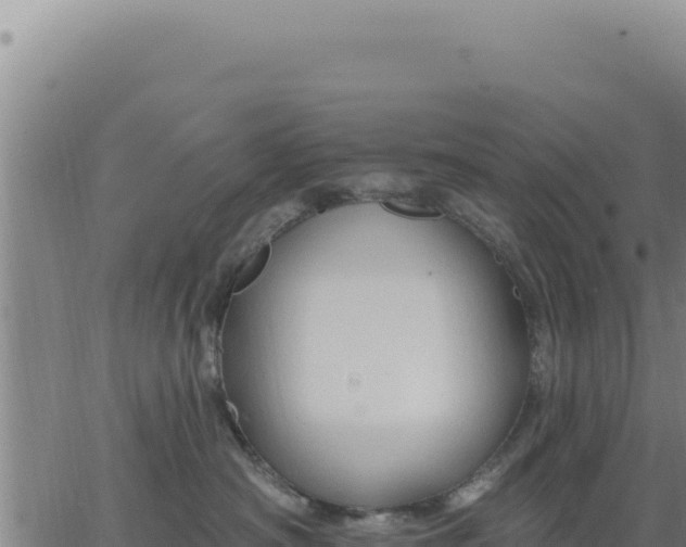 X0000063480430200601271659