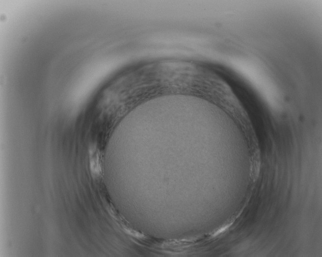 X0000063480431200601271659