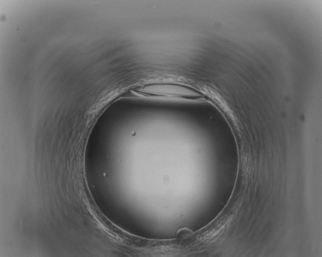 X0000063480433200601271658