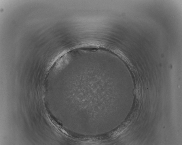 X0000063480434200601271658