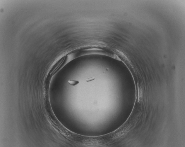 X0000063480435200601271658