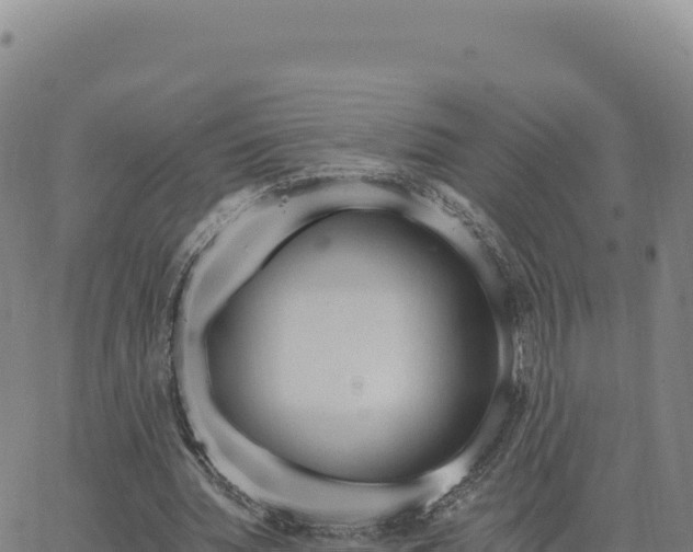 X0000063480436200601271658