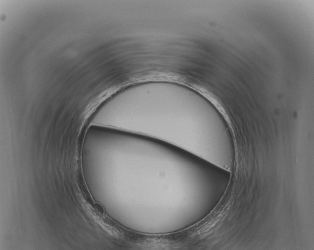 X0000063480437200601271658