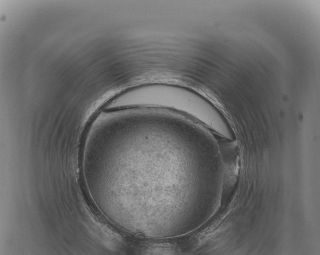 X0000063480438200601271658