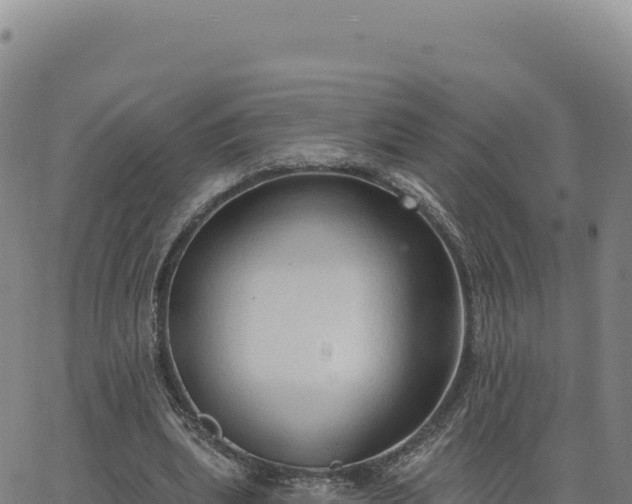 X0000063480439200601271658