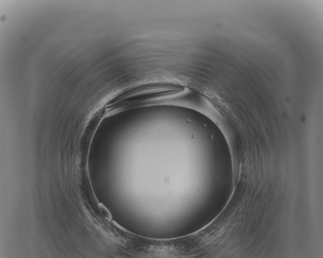 X0000063480440200601271658