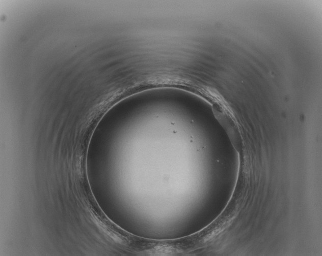 X0000063480441200601271659