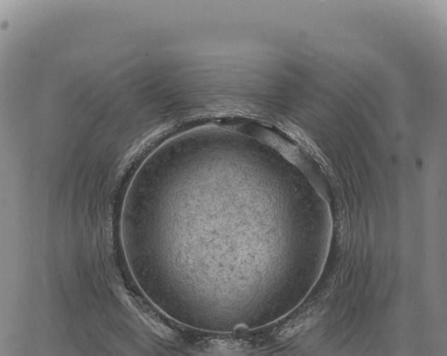 X0000063480442200601271659